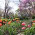 National Gardening Day
